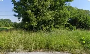 Morrison Street, Texarkana, AR 71854
