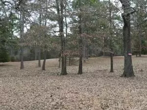 18 Eagle Cv, Lamar, AR 72846
