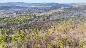 Ar-164, Dover, AR 72837 photo 20