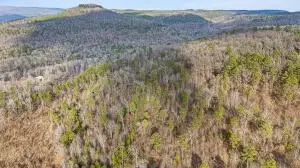 Ar-164, Dover, AR 72837 photo 21