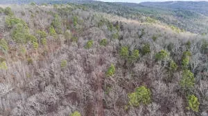 Ar-164, Dover, AR 72837 photo 8