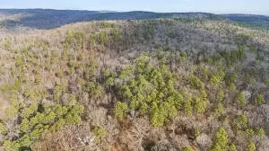 Ar-164, Dover, AR 72837 photo 13