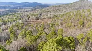 Ar-164, Dover, AR 72837 photo 14