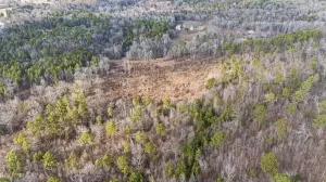 Ar-164, Dover, AR 72837 photo 5