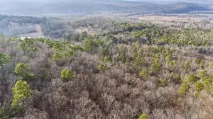 Ar-164, Dover, AR 72837 photo 10
