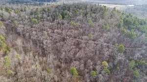 Ar-164, Dover, AR 72837 photo 17