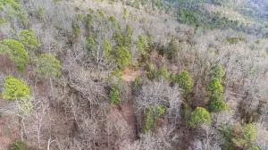 Ar-164, Dover, AR 72837 photo 9