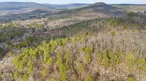 Ar-164, Dover, AR 72837 photo 2