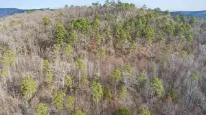 Ar-164, Dover, AR 72837 photo 16