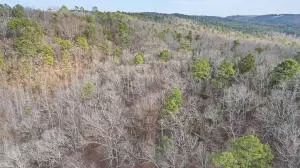 Ar-164, Dover, AR 72837 photo 18