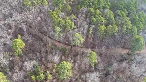 Ar-164, Dover, AR 72837 photo 7