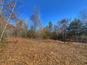 136 Branch Ln, Russellville, AR 72802