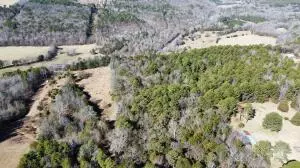 Cr 3550, Clarksville, AR 72830