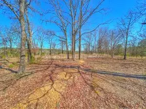 320 Hunters Rd, Center Ridge, AR 72027