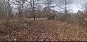 tbd Co Rd 2241, Hartman, AR 72840