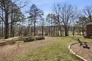 49 Schaefer Dr, Dover, AR 72837 photo 39