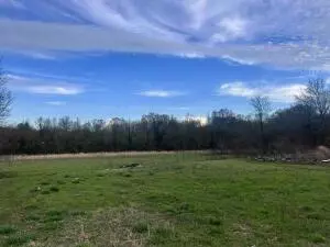 13624 Ar-28, Dardanelle, AR 72834