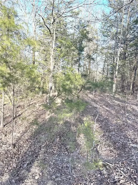 Land Off Stockton Road, Dover, AR 73837