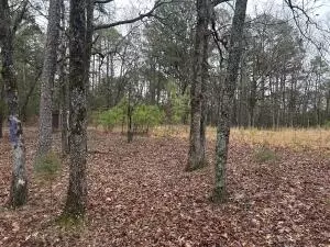 Co Rd 4430, Clarksville, AR 72830