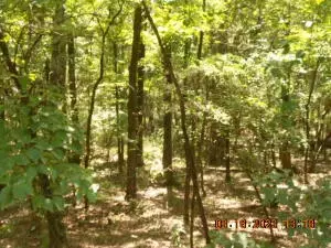 Undisclosed, Russellville, AR 72802