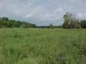 2264 Witty Ct, Harrison, AR 72601 photo 1