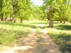 2264 Witty Ct, Harrison, AR 72601 photo 5