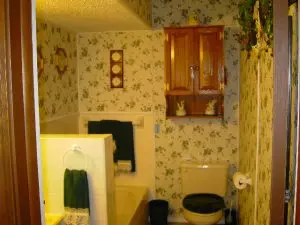 12 Grandview, Harrison, AR 72601 photo 13
