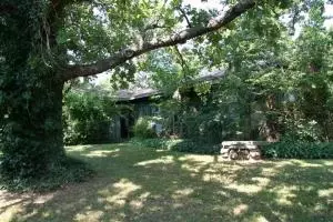 4100 S Tommy St, Harrison, AR 72601 photo 4