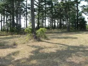 10100 S Post Office Rd, Harrison, AR 72601 photo 11