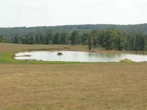 10100 S Post Office Rd, Harrison, AR 72601 photo 4