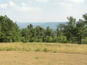 10100 S Post Office Rd, Harrison, AR 72601 photo 7