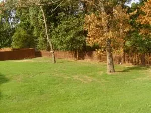 1826 Daly Dr, Harrison, AR 72601 photo 43