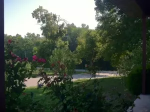812 Watkins, Harrison, AR 72601 photo 13