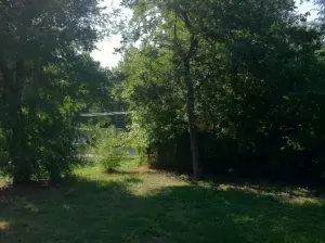 812 Watkins, Harrison, AR 72601 photo 15