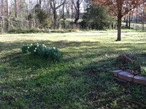 825 W Rush, Harrison, AR 72601 photo 6