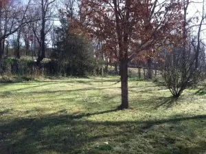 825 W Rush, Harrison, AR 72601 photo 3