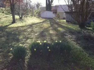 825 W Rush, Harrison, AR 72601 photo 2