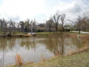 6288 Whispering Pines Rd, Harrison, AR 72601 photo 6