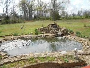 6288 Whispering Pines Rd, Harrison, AR 72601 photo 47