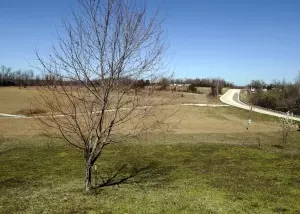 4827 N Center Loop, Harrison, AR 72601 photo 5