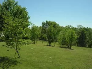 12603 W Ward Ln, Omaha, AR 72662 photo 27