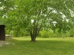 12603 W Ward Ln, Omaha, AR 72662 photo 15