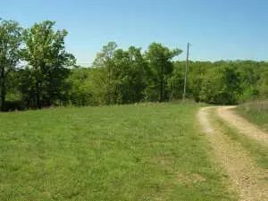 12603 W Ward Ln, Omaha, AR 72662 photo 29