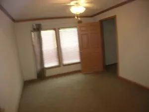 12603 W Ward Ln, Omaha, AR 72662 photo 44