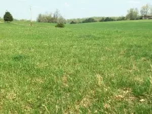318 Beavers Ln, Harrison, AR 72601 photo 3