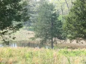 318 Beavers Ln, Harrison, AR 72601 photo 4