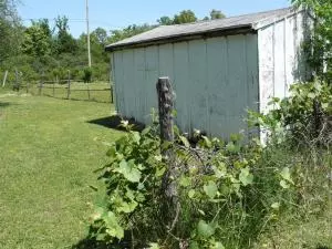 202 E Mockingbird Trl, Diamond City, AR 72630 photo 19
