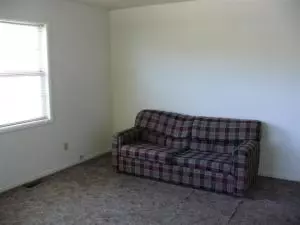 202 E Mockingbird Trl, Diamond City, AR 72630 photo 12