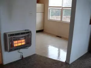 202 E Mockingbird Trl, Diamond City, AR 72630 photo 3