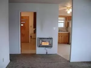 202 E Mockingbird Trl, Diamond City, AR 72630 photo 4